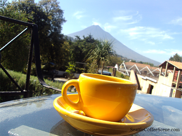 seattle coffee scene in Guatemala
