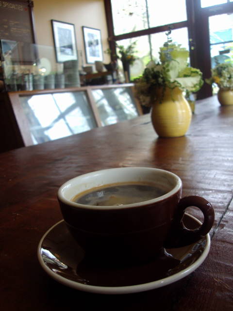 seattle coffee - volunteer park cafe