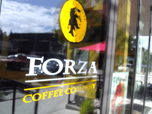 Forza Coffee in Green Lake - Seattle Coffee