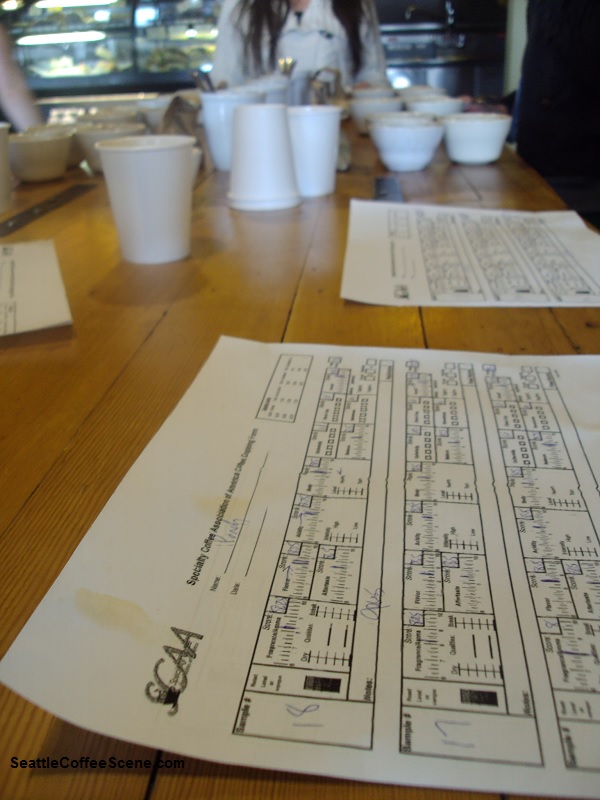 coffee cupping, coffee cuppings in seattle