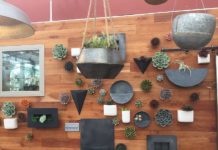 West Seattle Nursery Café seattle coffeee scene